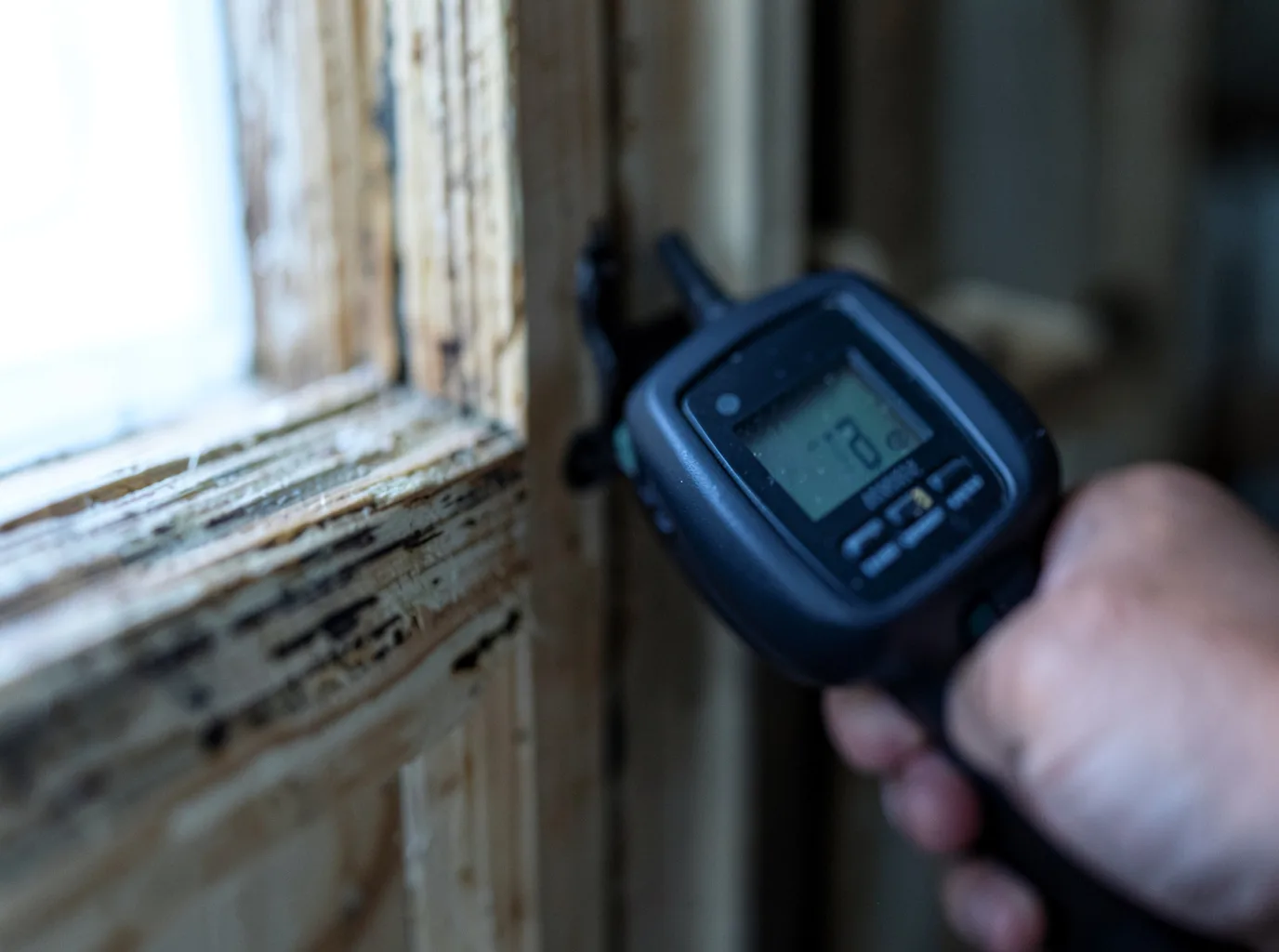 Moisture Inspection And Documentation in Breaux Bridge, LA